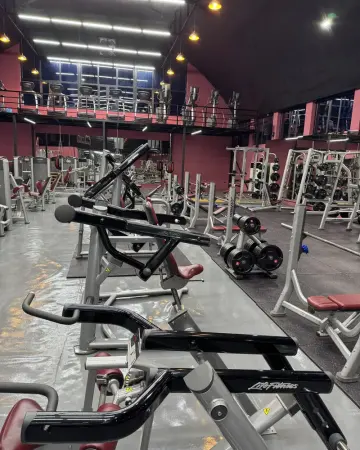 Силовые тренажёры и скамьи крупным планом